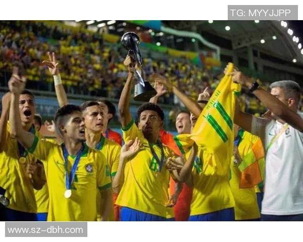 巴西与厄瓜多尔足球对决全面分析及战术解析